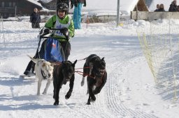Lenk 2012 SM